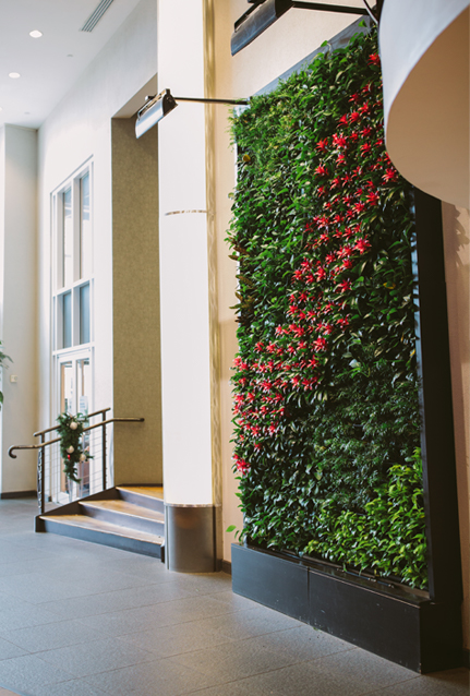 Indoor Living Wall Installation